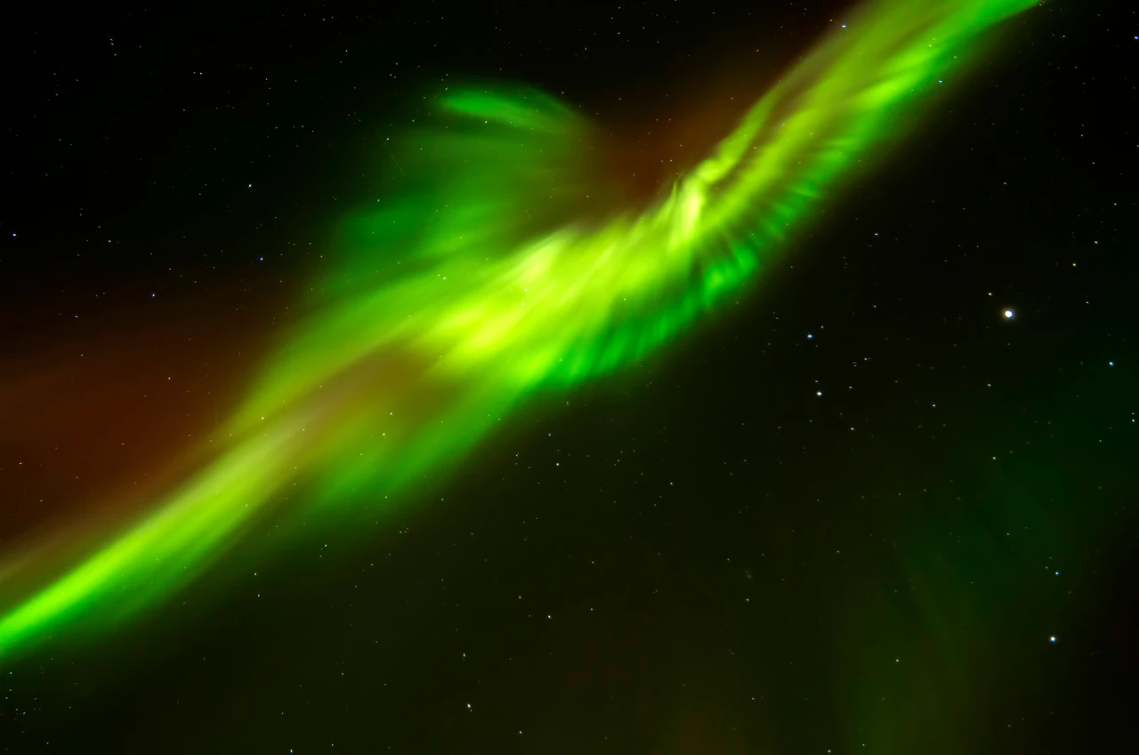 Wings, Iceland