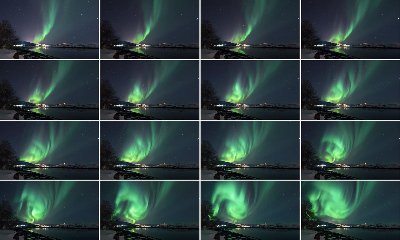 Kitaptan · Time-lapse — 16 karenin tek bir akışta yan yana dizilişi